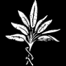 Sage Roots Cocktail Company