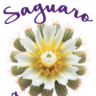 Saguaro Day Spa