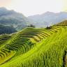 Saigonese Trekking House