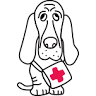 Saito Animal Hospital