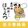 はちみつ 坂井養蜂場
