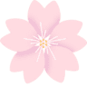 Sakura Dental Clinic