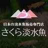 さくら淡水魚