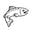 Salmon Market
