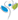 Salt MedSpa
