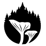 Samliku Pekker