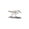 Sanderling House Holiday Let