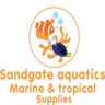 Sandgate aquatics