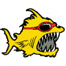 Sandgroper Boards