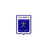Escuela Industrial San José de Villarrica