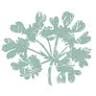 Sarah Lowe Garden Design