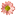Sarasota Garden Club
