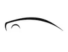 Specialty Automotive Treatments