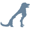 Saunders Veterinary Services
