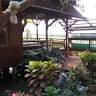Saung Pak Kasno