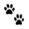 Sav-R-Cats International, Inc.