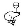 Saved by the Wine