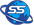 Savić SS - Prevoz putnika