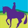 South Coast Equine Veterinary Practice
