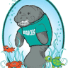 Dr. Steve Chapman Orthodontics