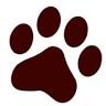 Schroon River Animal Hospital
