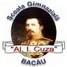 School Alexandru Ioan Cuza
