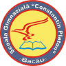 Constantin Platon School