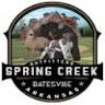 Spring Creek Cabin Rental