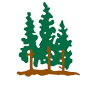 Scotch Pines Golf Course