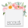 Scout