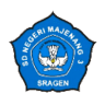 SDN Majenang 3
