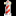 SDS Navigation Srl