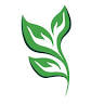 Seacoast Health Collective - Custom Orthotics, Yoga, Massage, Nutrition