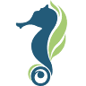 Seahorse Han Market by Haviland
