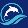 Sealife Dolphin Watching