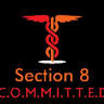Section 8 Guitars
