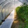 Seeds of Hope Farm
