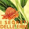I Segreti delle Erbe