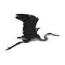 Harbour Real Estate Group LLC