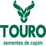TOURO sementes de capim