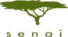 Senai Global