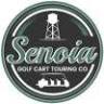 Senoia Golf Carts