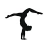 Sequim Acrobatics