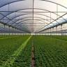 Sere Romania - Europrogress S.R.L
