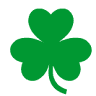 Septic Solutions
