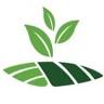 Công ty TNHH Phát triển trang trại bền vững Việt Nam (SFarming Vietnam Co., LTD)