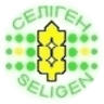 Selektsiyno-Henetychnyy Instytut