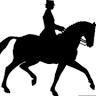 Susan Graham White, LLC