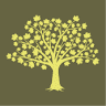 Shadowtree Apartments