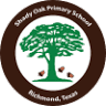 Shady Oak Primary School